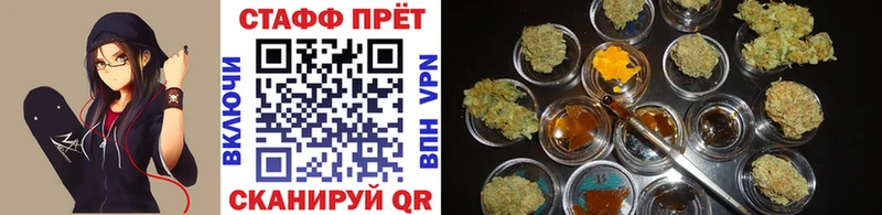  COCAIN Дно