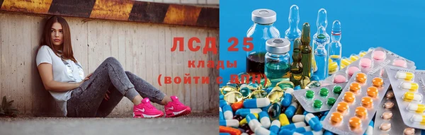 стафф Медногорск