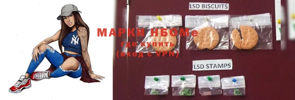 стафф Медногорск