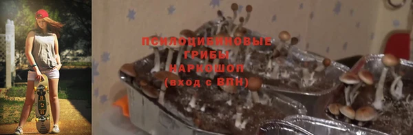 марихуана Медвежьегорск