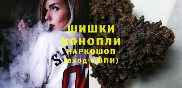 стафф Медногорск