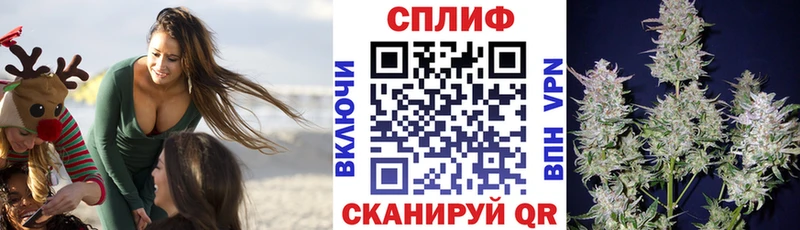 Бошки Шишки MAZAR  как найти закладки  Дно 